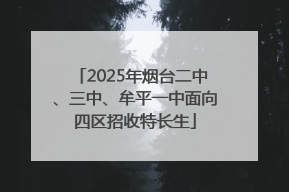2025年烟台二中、三中、牟平一中面向四区招收特长生