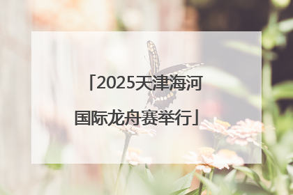 2025天津海河国际龙舟赛举行