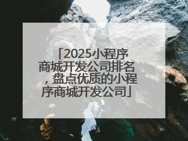 2025小程序商城开发公司排名，盘点优质的小程序商城开发公司