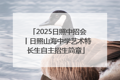 2025日照中招会丨日照山海中学艺术特长生自主招生简章