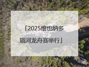 2025维也纳多瑙河龙舟赛举行