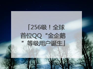 256级！全球首位QQ“金企鹅”等级用户诞生