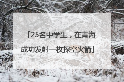 25名中学生，在青海成功发射一枚探空火箭