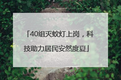 40组灭蚊灯上岗，科技助力居民安然度夏