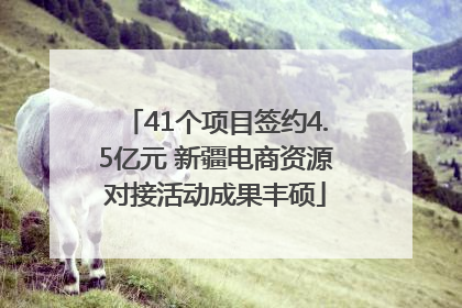 41个项目签约4.5亿元 新疆电商资源对接活动成果丰硕