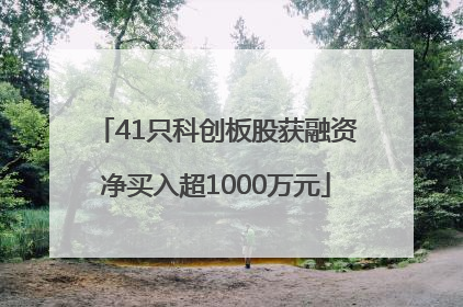 41只科创板股获融资净买入超1000万元