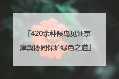 420余种候鸟见证京津冀协同保护绿色之道