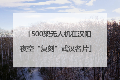 500架无人机在汉阳夜空“复刻”武汉名片