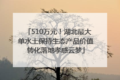 510万元！湖北最大单水土保持生态产品价值转化落地孝感云梦