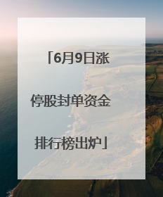 6月9日涨停股封单资金排行榜出炉