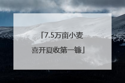 7.5万亩小麦喜开夏收第一镰