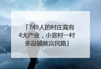 749人的村庄竟有4大产业，小官村一村多品铺就富民路