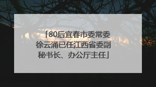80后宜春市委常委徐云涌已任江西省委副秘书长、办公厅主任