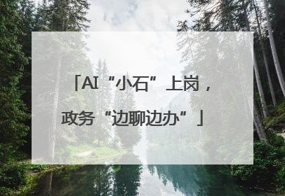 AI“小石”上岗，政务“边聊边办”