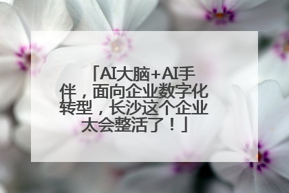 AI大脑+AI手伴，面向企业数字化转型，长沙这个企业太会整活了！