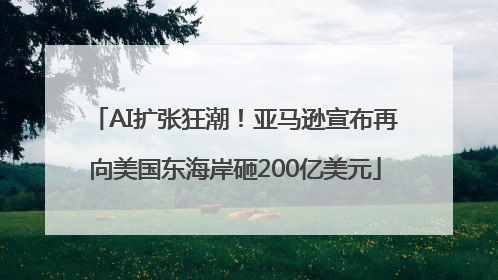 AI扩张狂潮！亚马逊宣布再向美国东海岸砸200亿美元