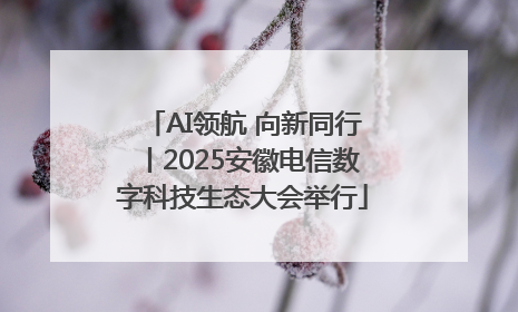 AI领航 向新同行丨2025安徽电信数字科技生态大会举行