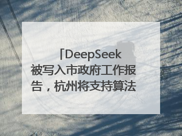 DeepSeek被写入市政府工作报告，杭州将支持算法模型企业发展
