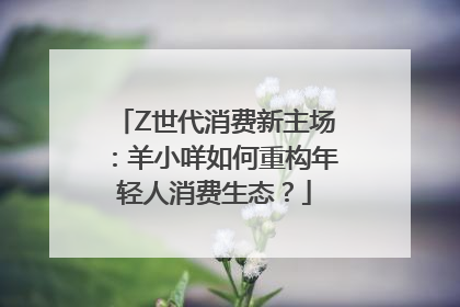 Z世代消费新主场：羊小咩如何重构年轻人消费生态？